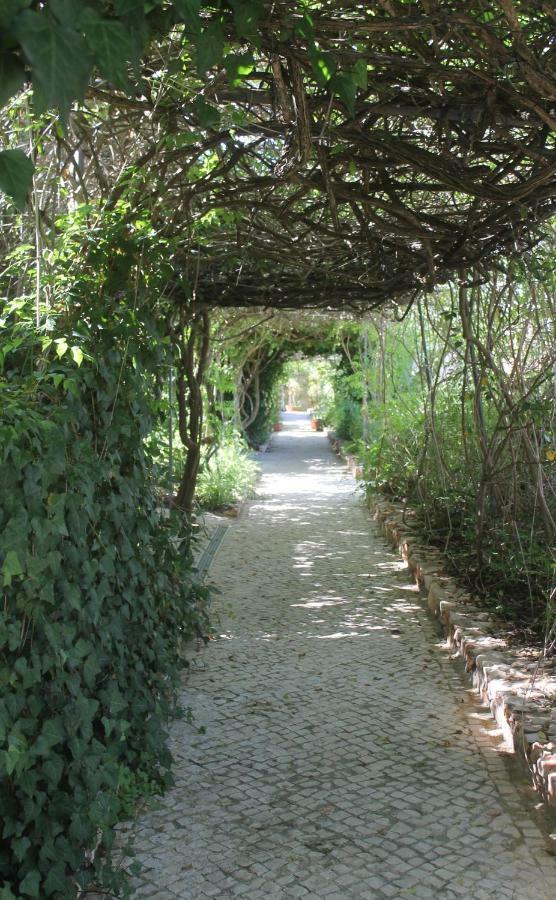 Canavial Garden (Adults Only) 拉哥斯 外观 照片